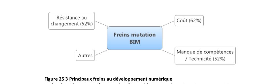 Figure 25 — Les 3 principaux freins au développement numérique. Source : thèse M. Quinart.